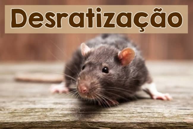 Qual o valor de uma Desratização em Jaú?